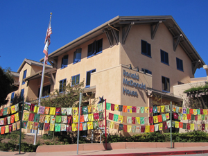 Flags of Hope project